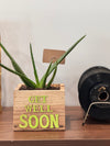 Wellness Box