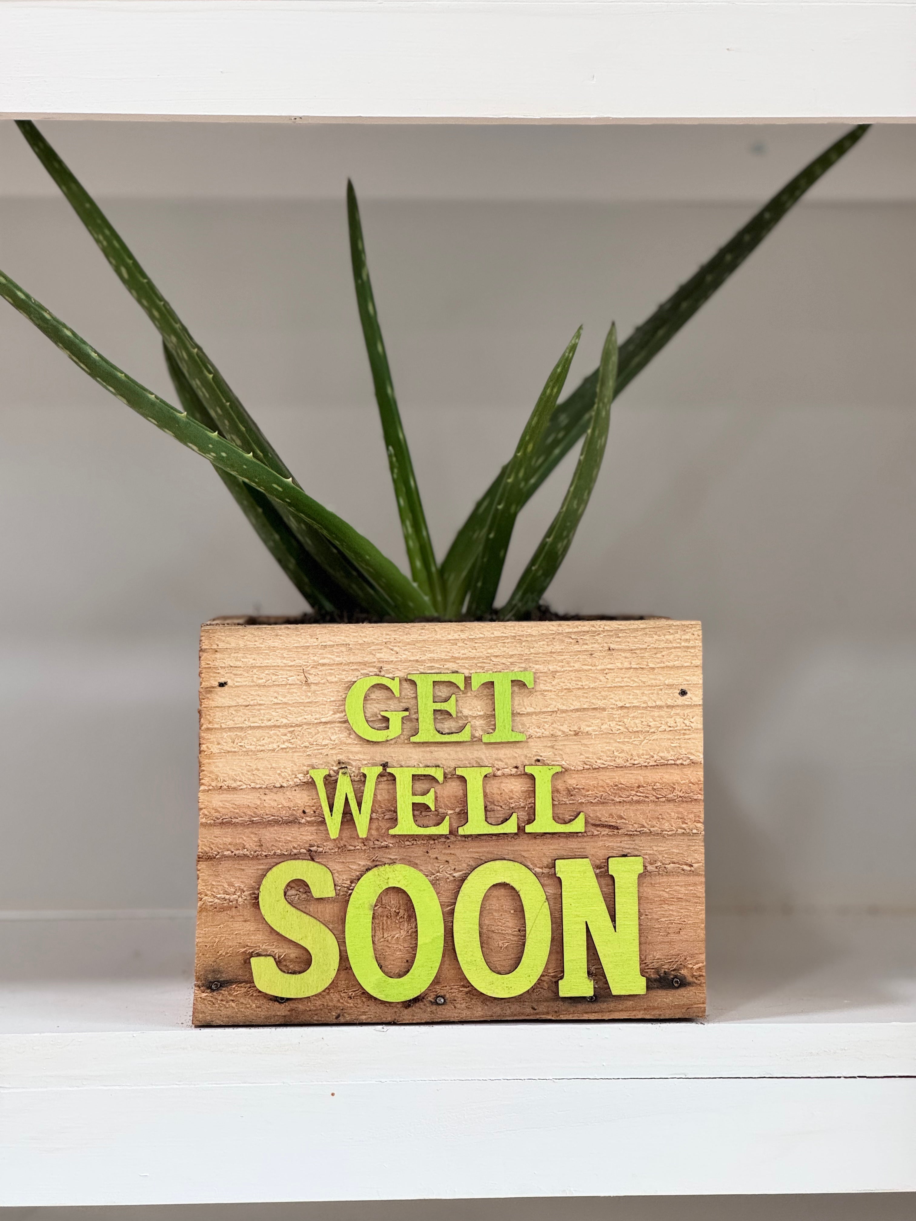 Wellness Box