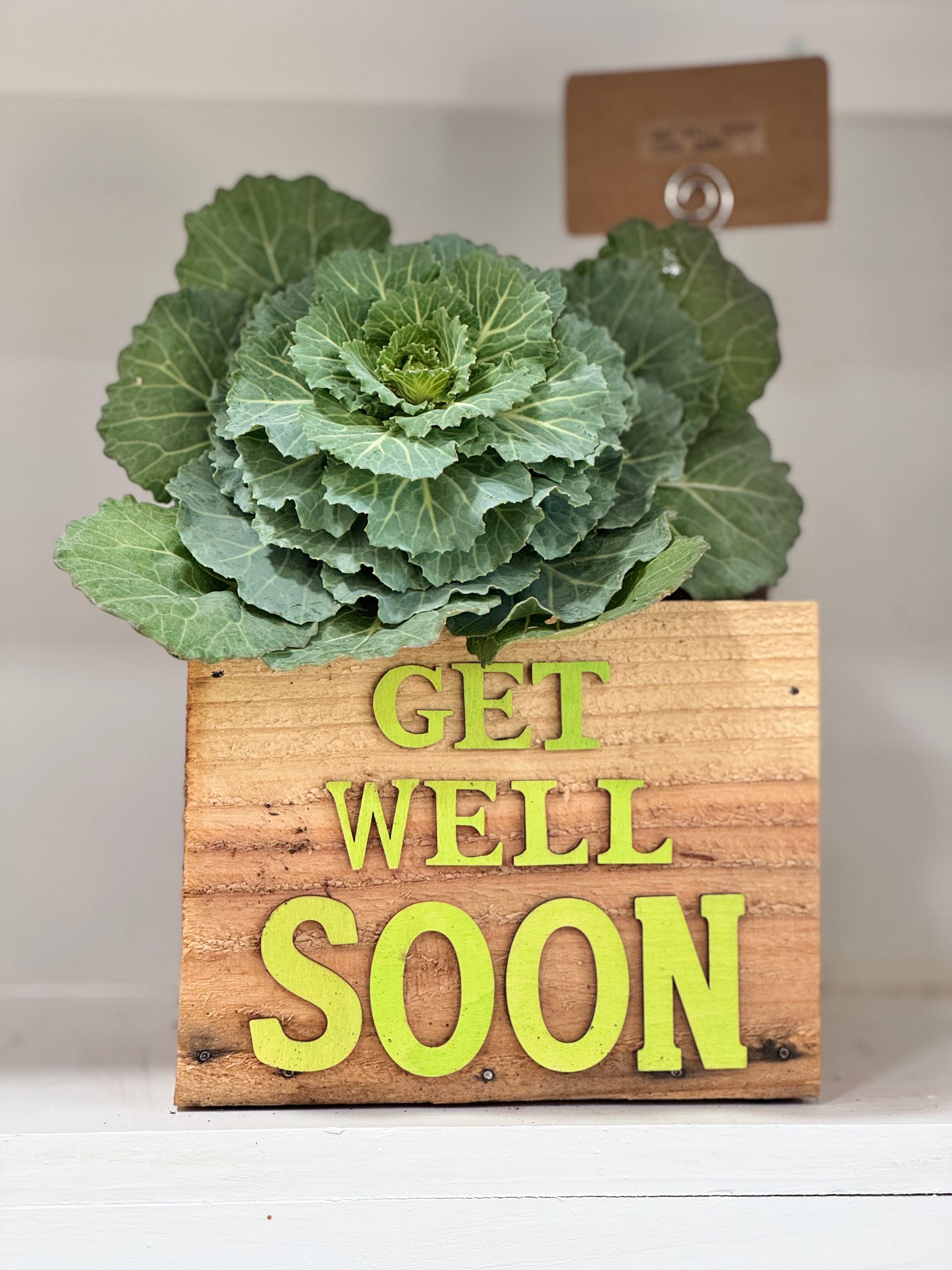 Wellness Box