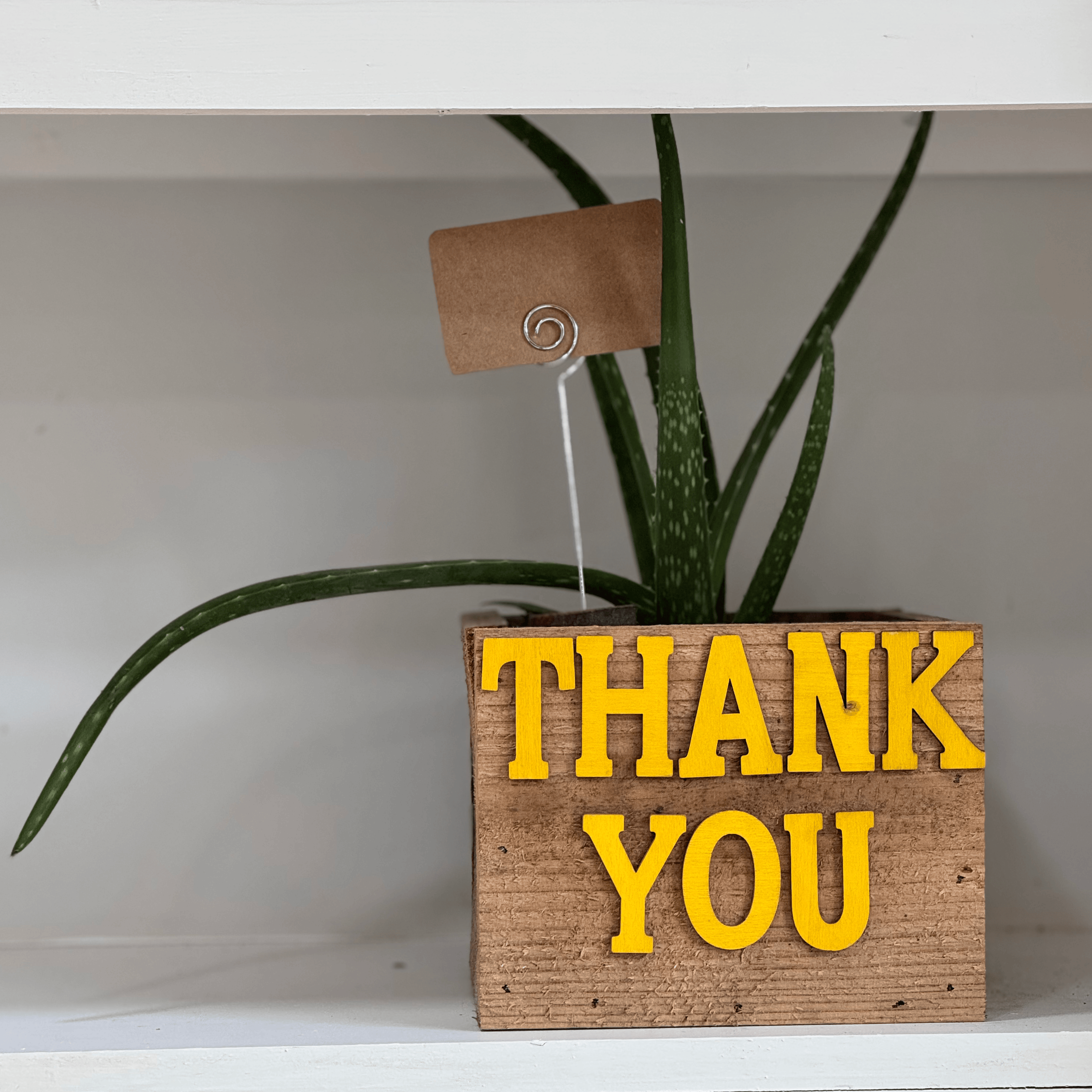 Thank You Gifts