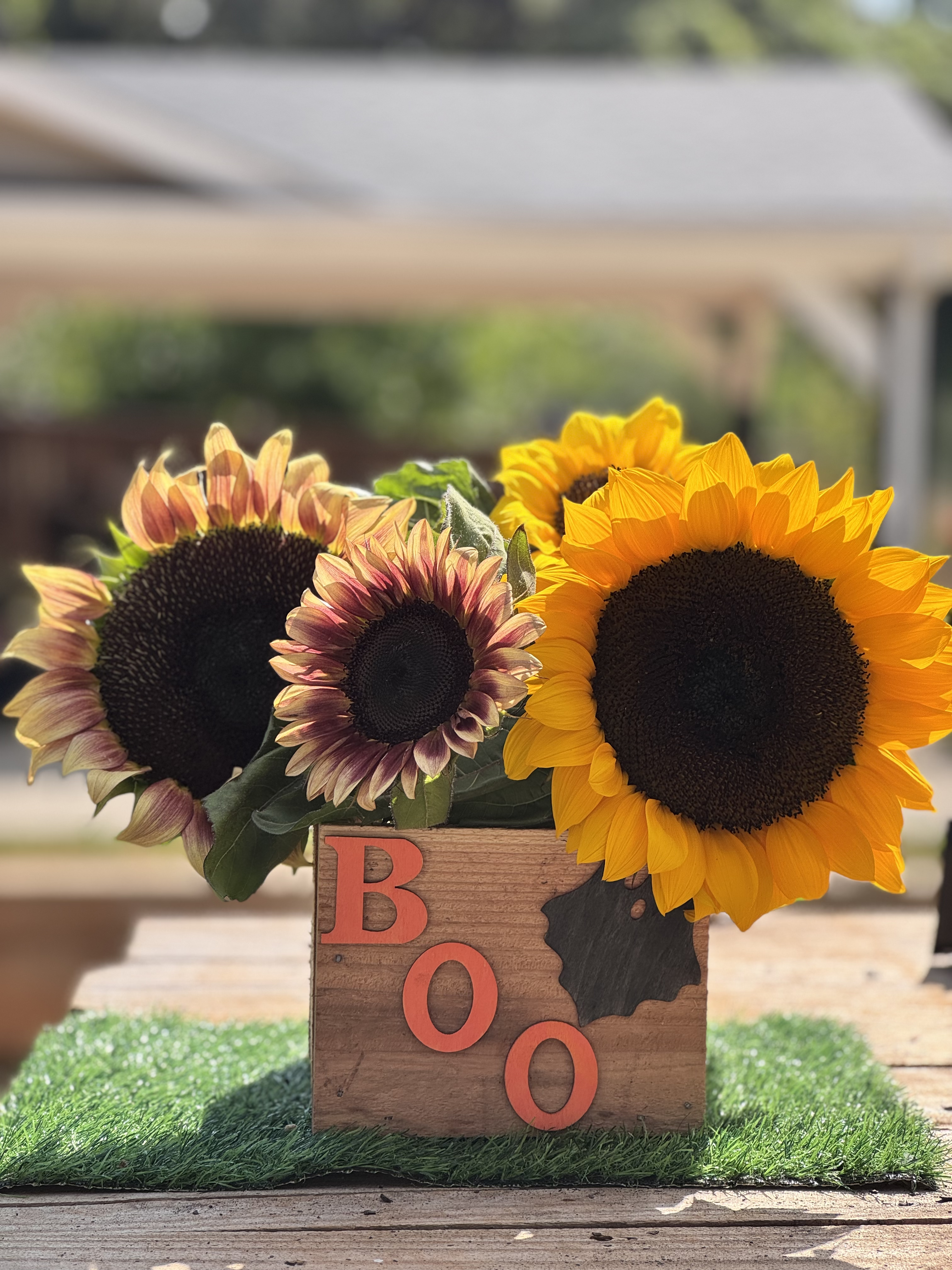 Seasonal Celebration Box