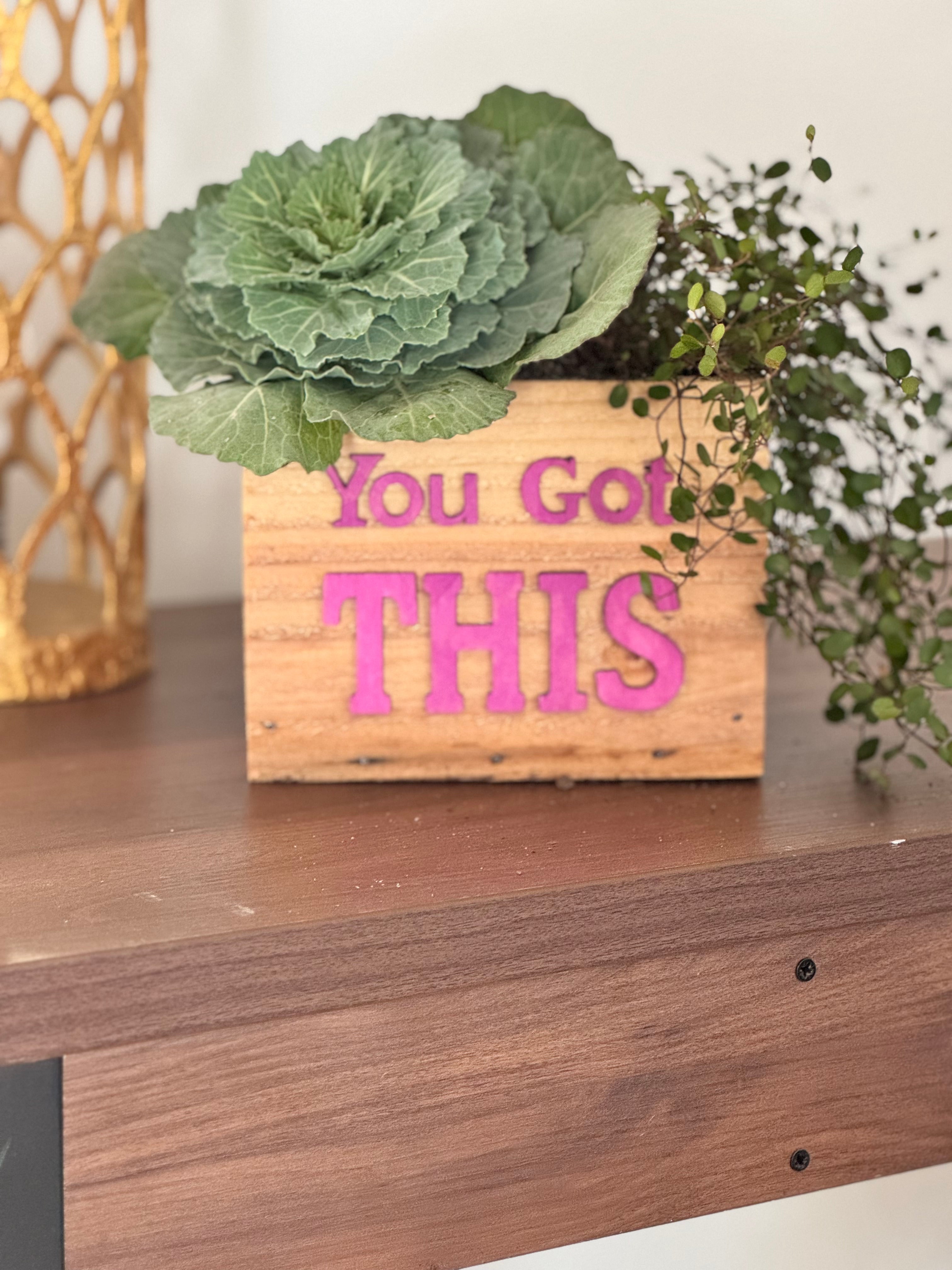 Bloom Box