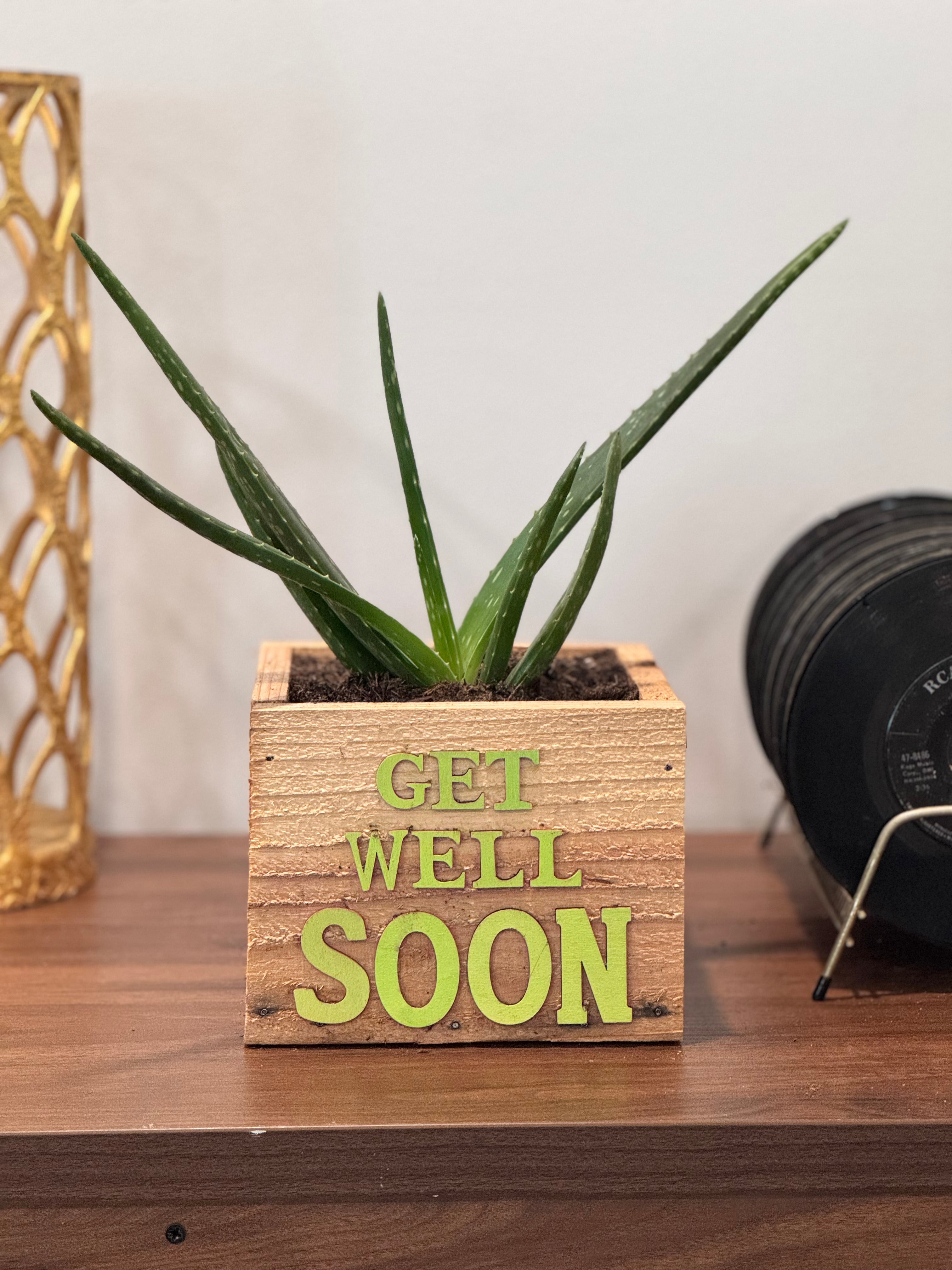 Wellness Box