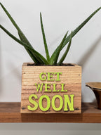 Wellness Box