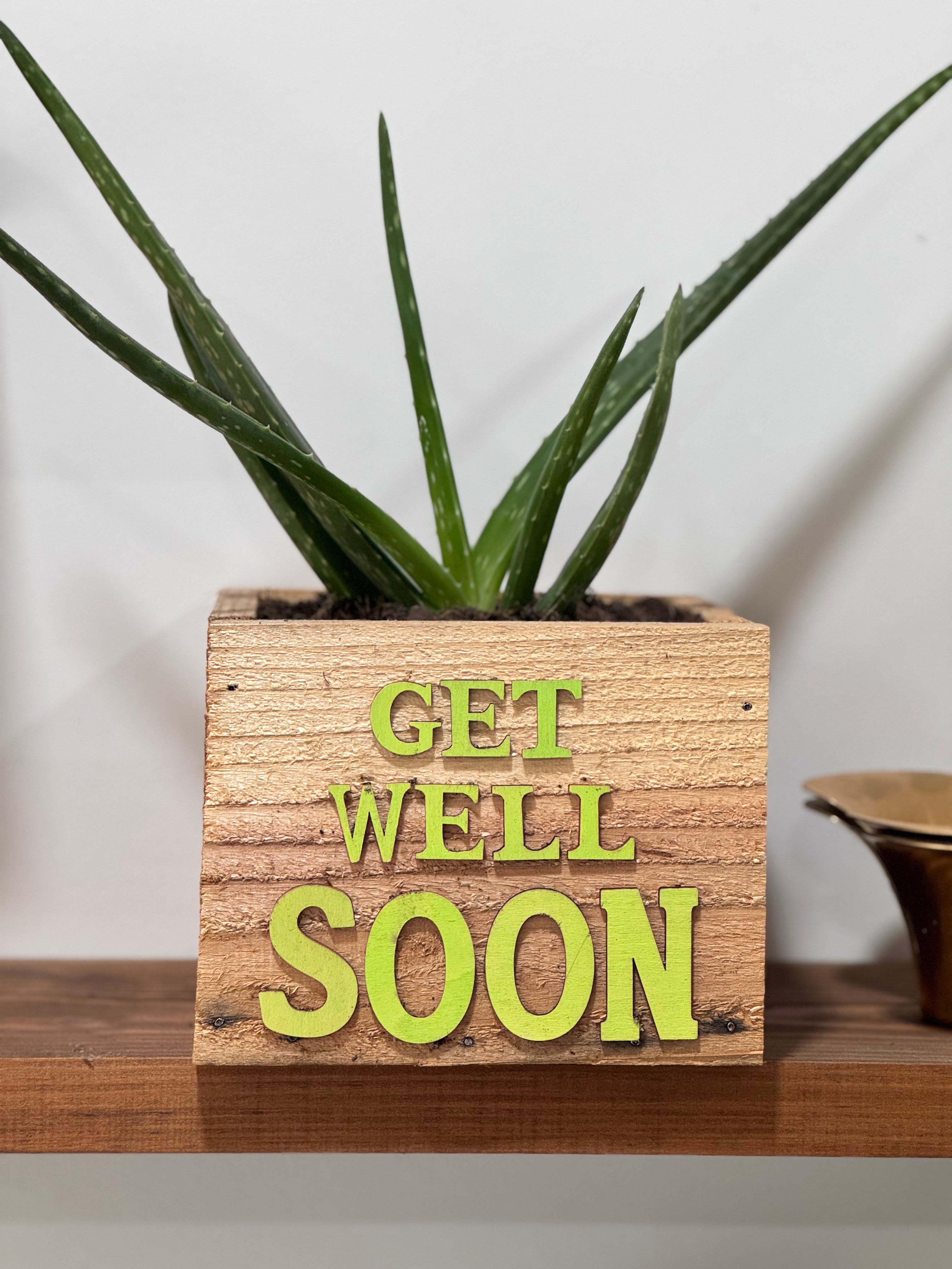 Wellness Box