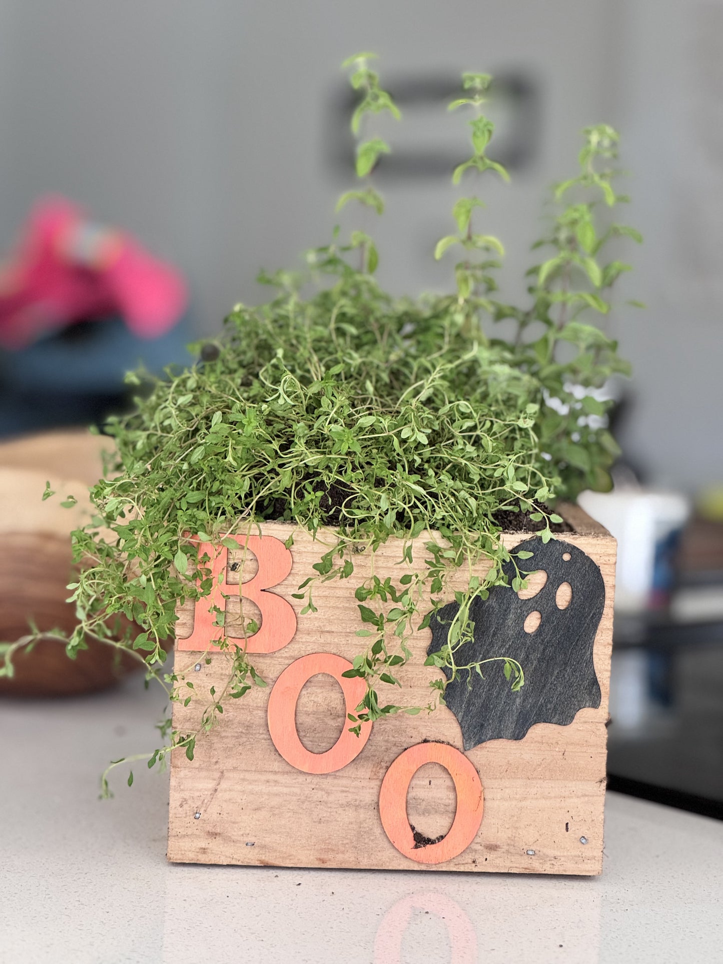 Seasonal / Celebration Box