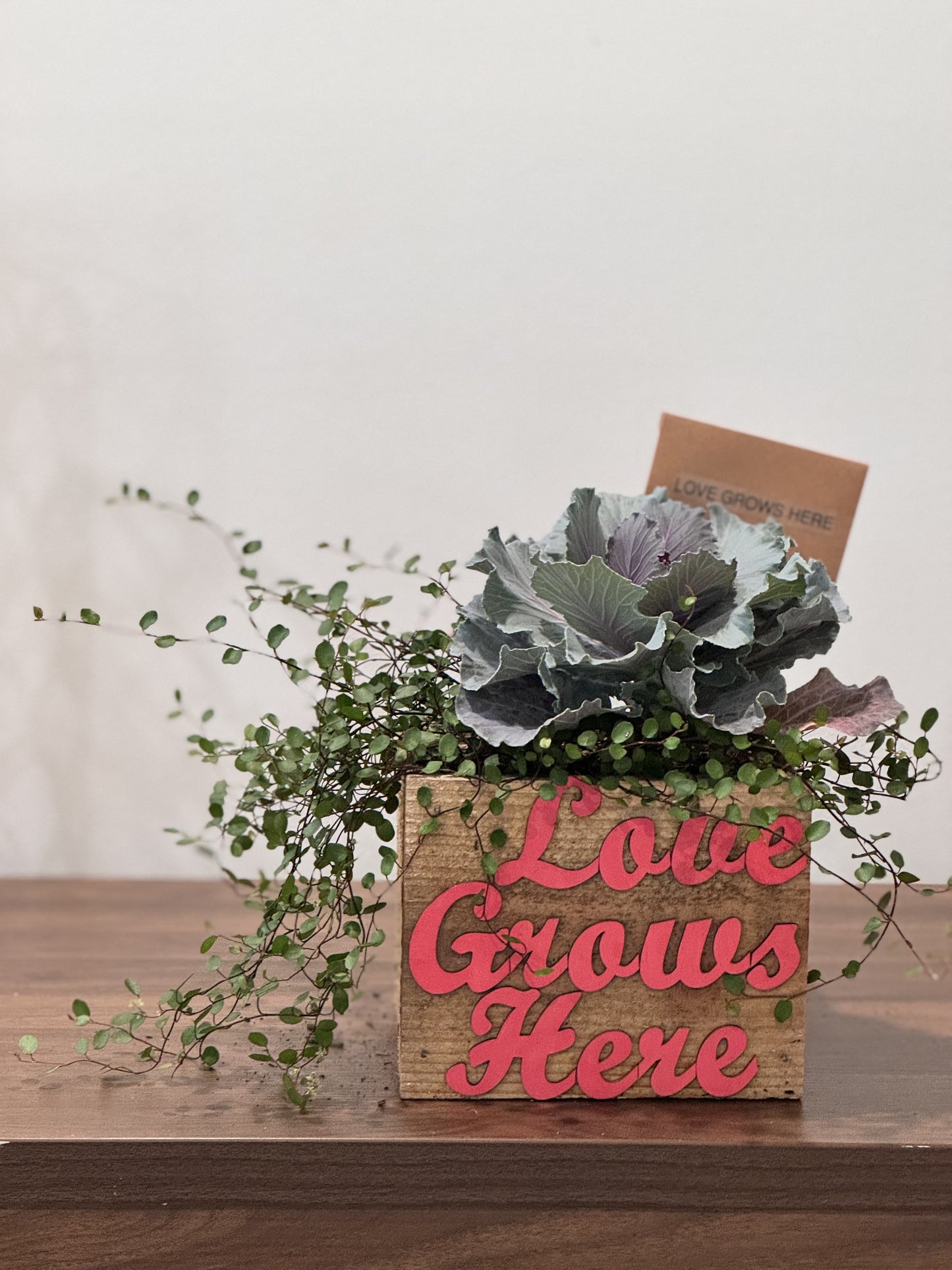 Love Grows Box
