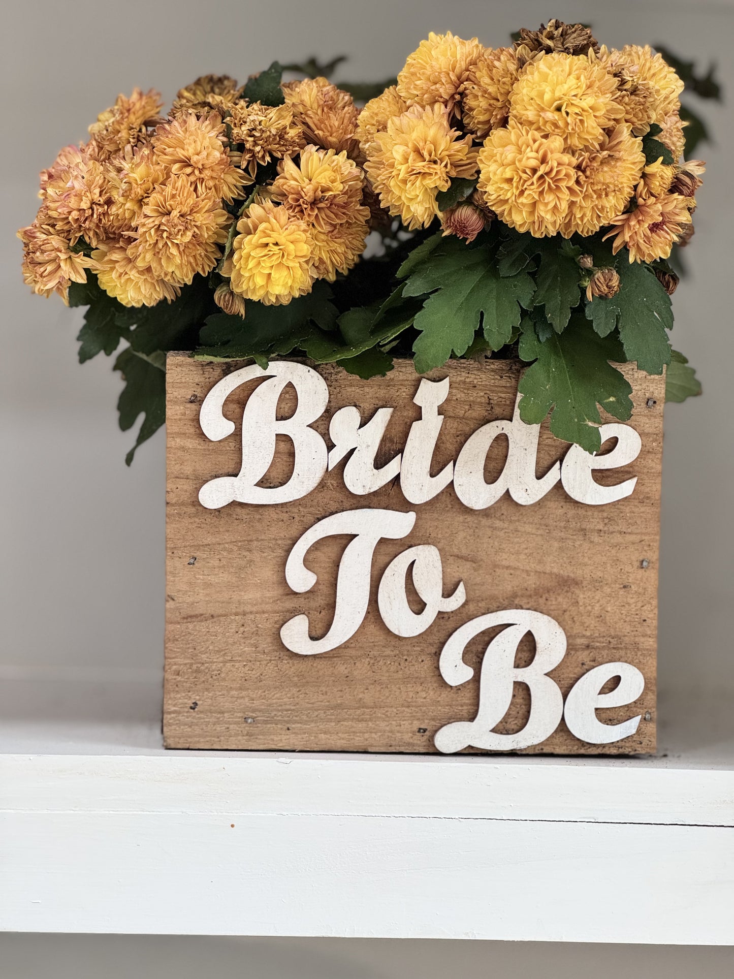 Seasonal / Celebration Box