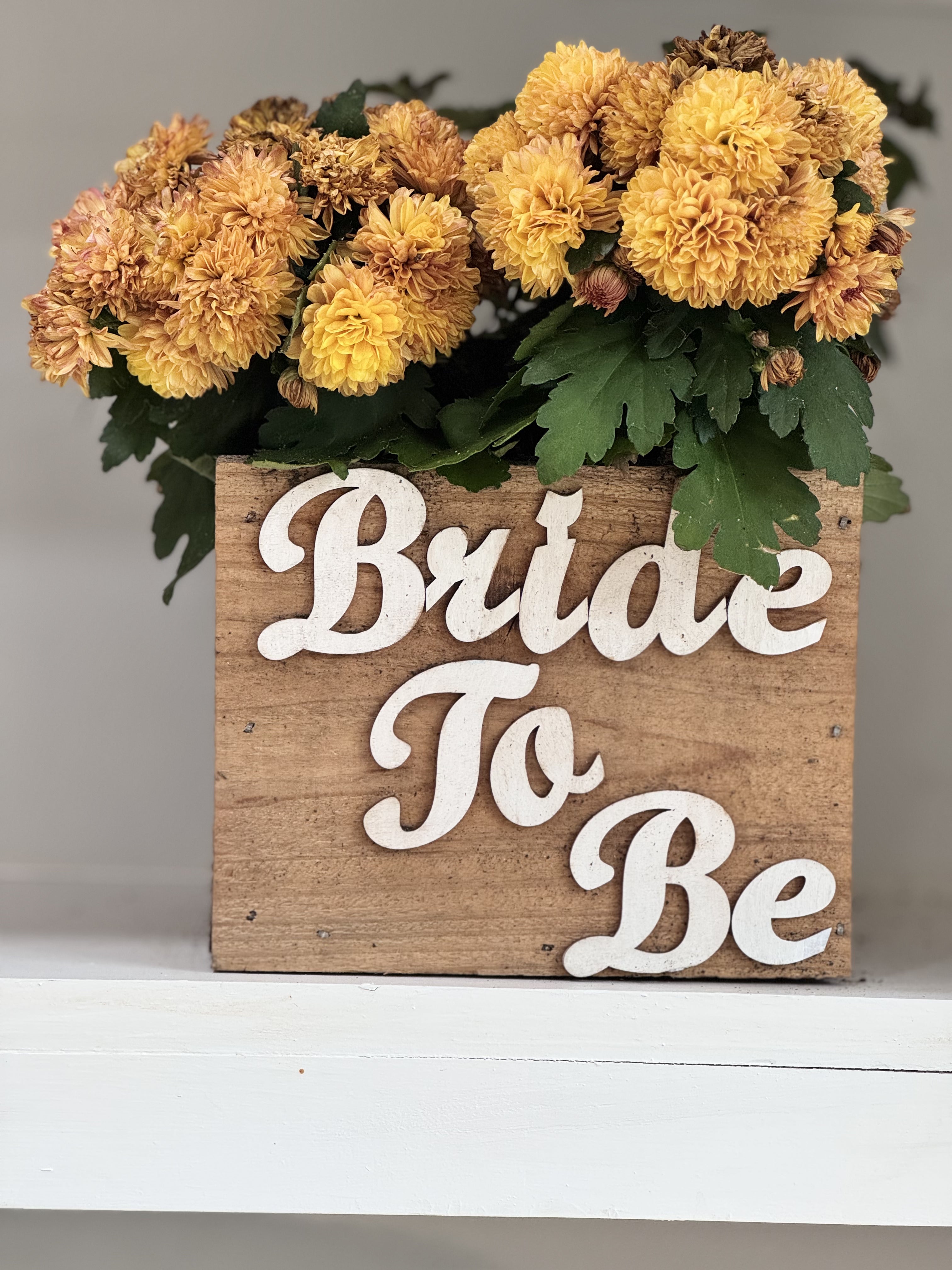 Seasonal / Celebration Box