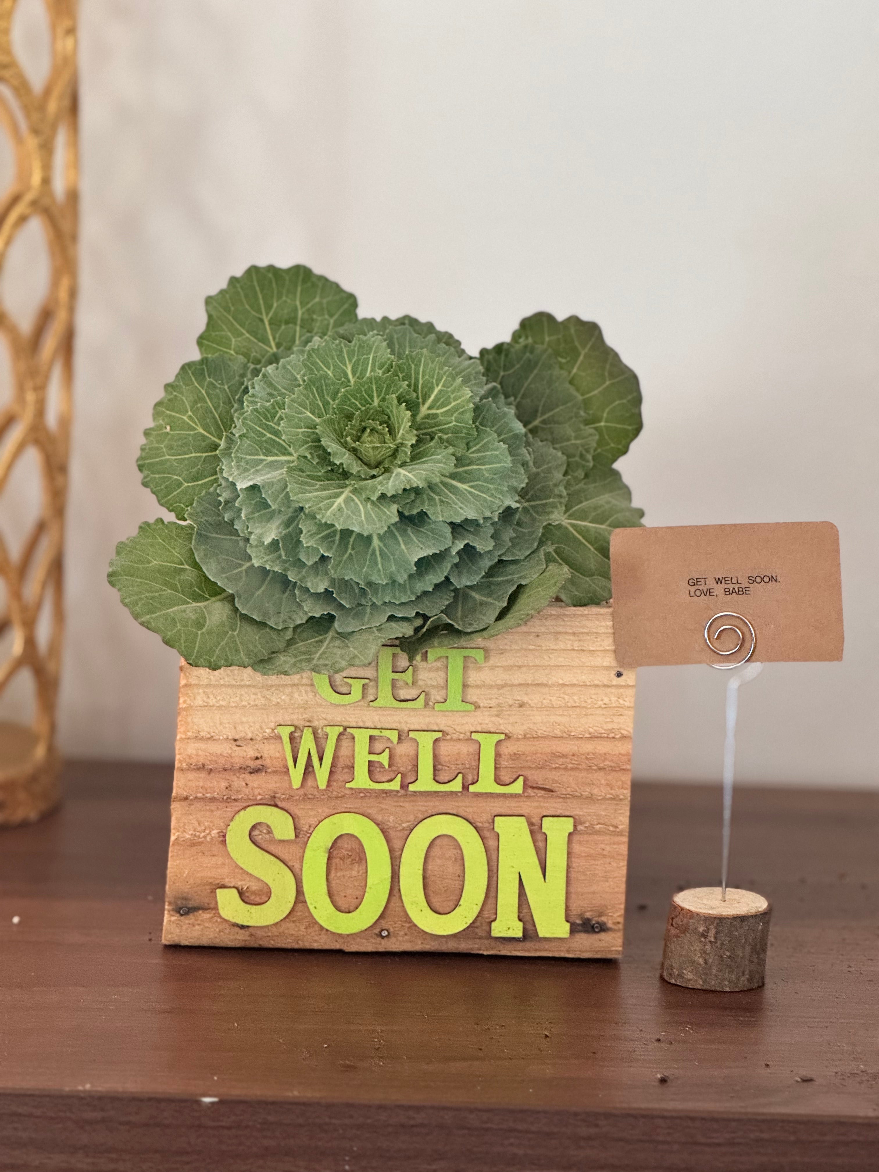 Wellness Box