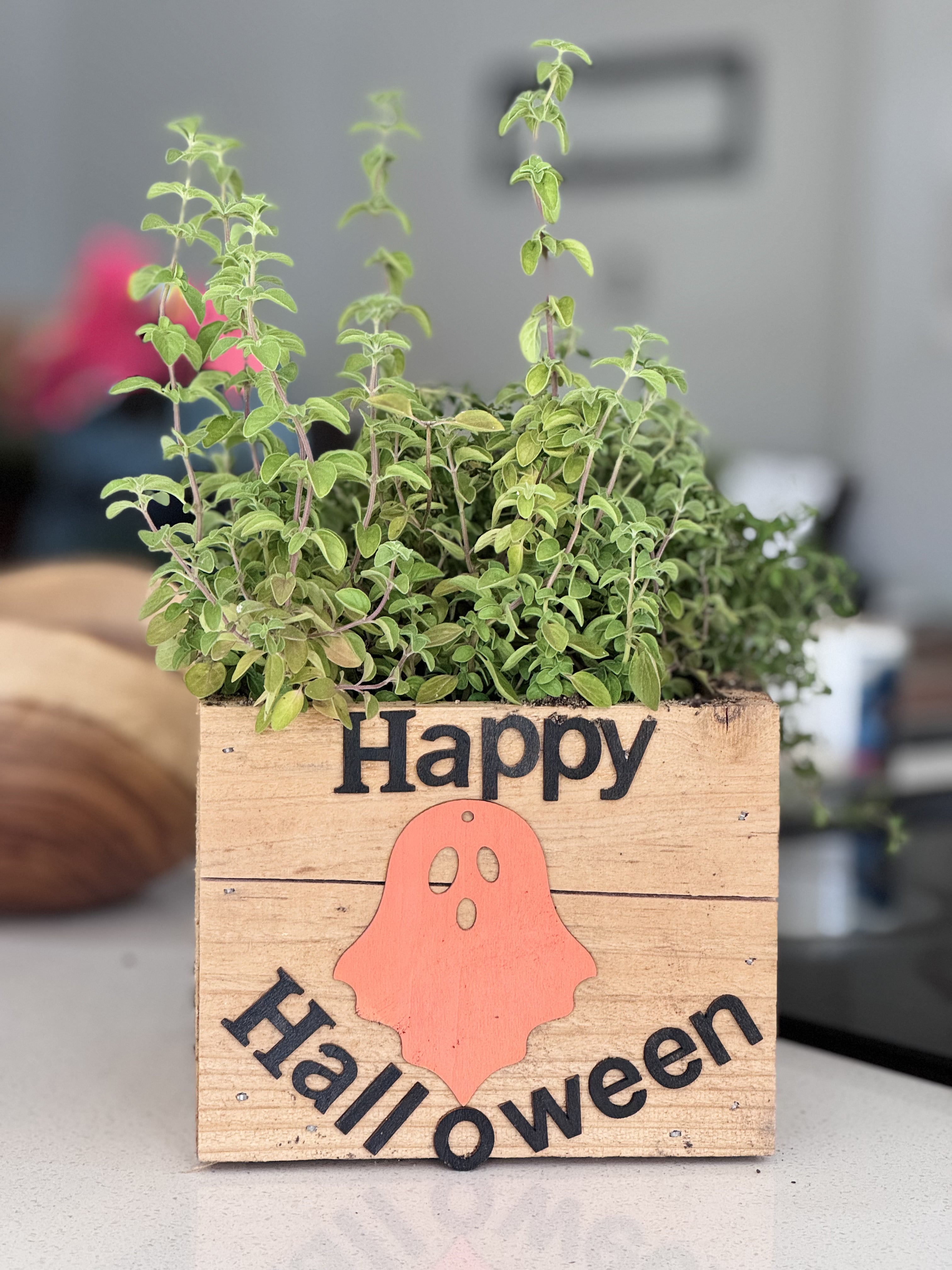 Seasonal / Celebration Box