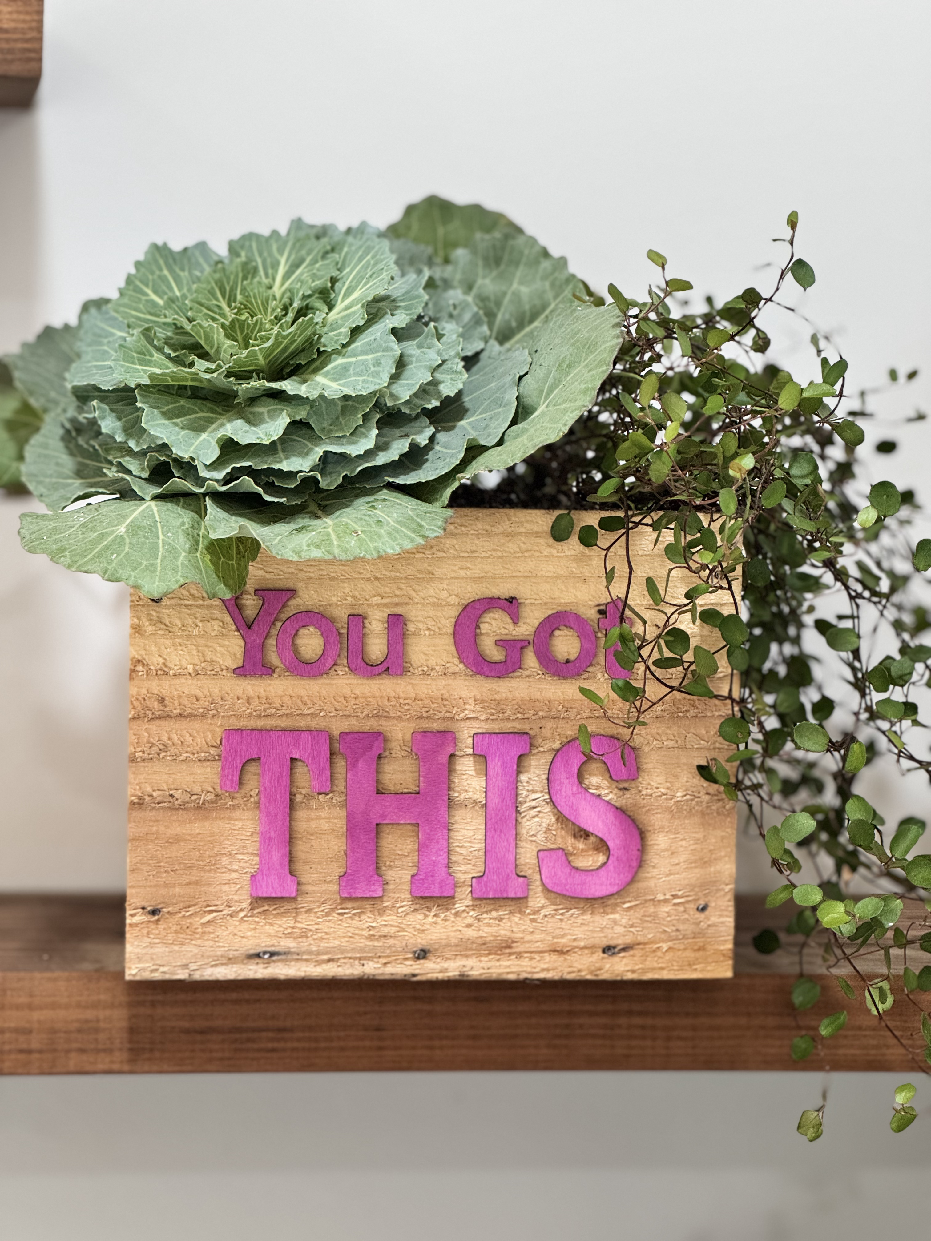 Wellness Box