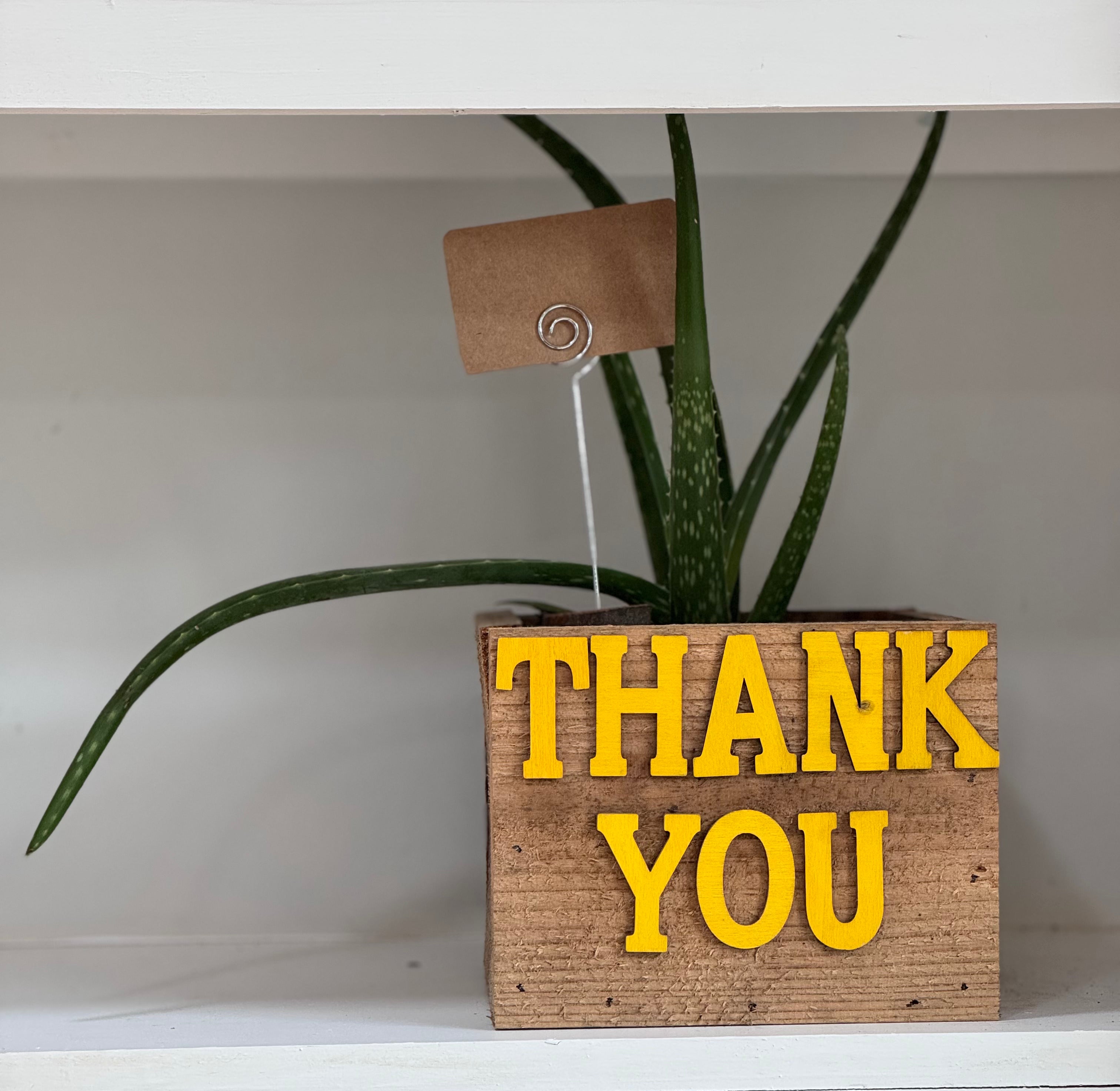 Herb Garden Box