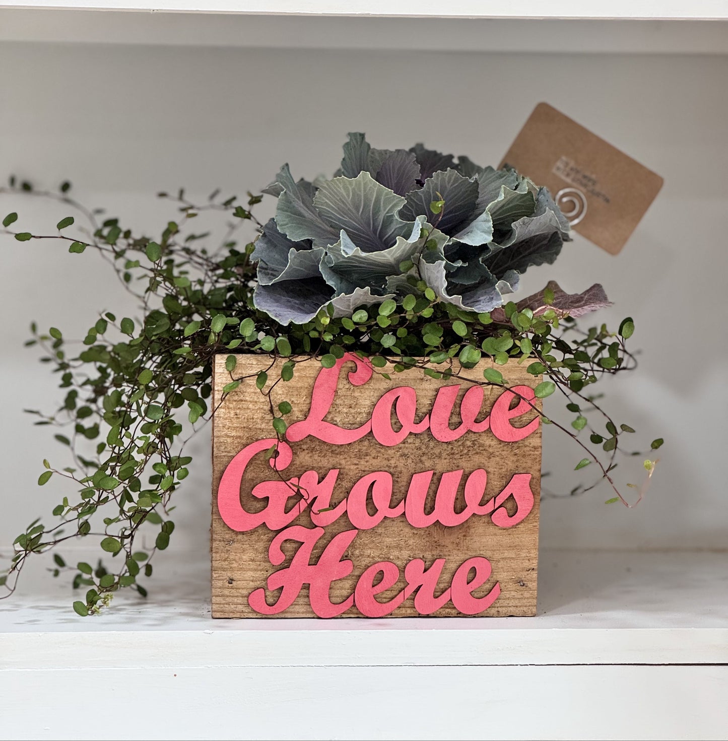 Love Grows Box