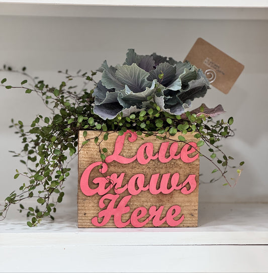 Love Grows Box