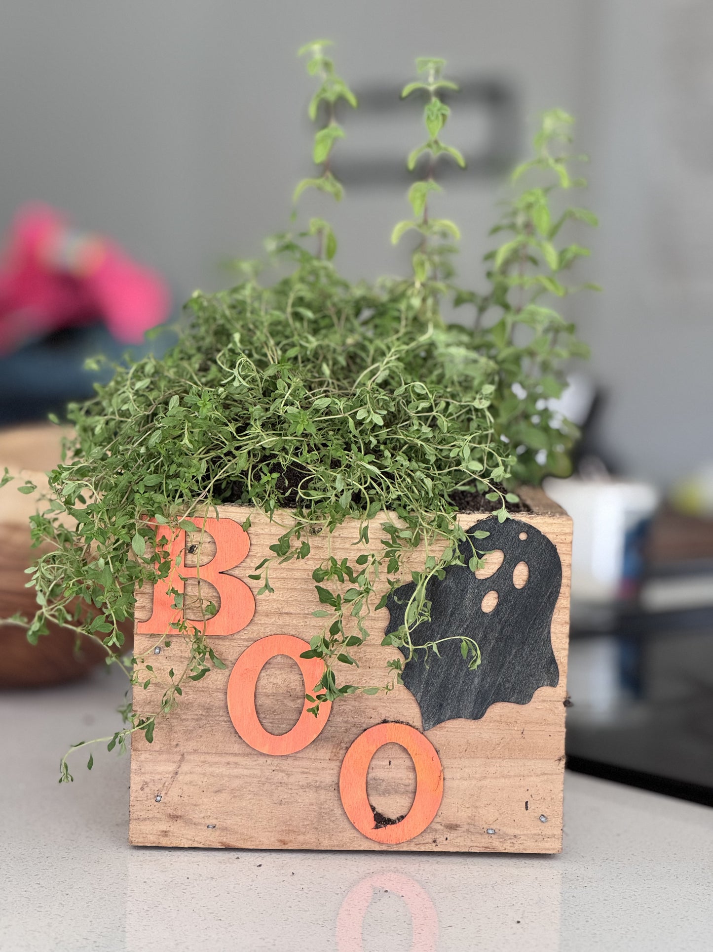 Seasonal / Celebration Box